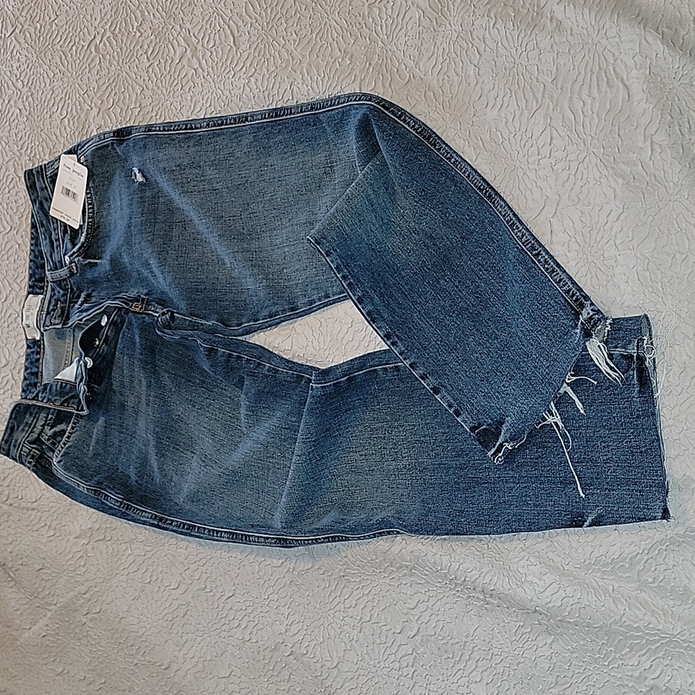 NWT We The Free Free People Button Fly Destructed Jeans